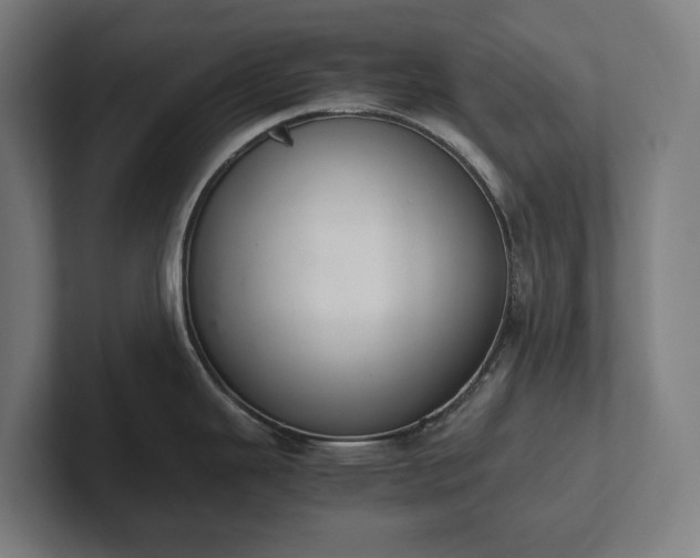 X0000102301343200808011354