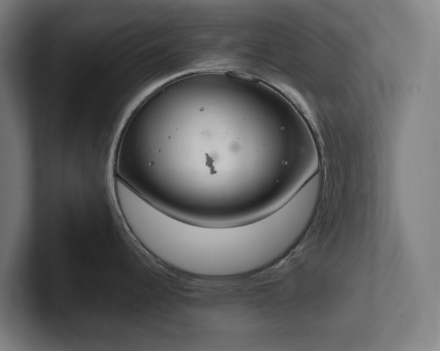 X0000102301344200808011354