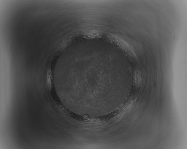 X0000102301346200808011354