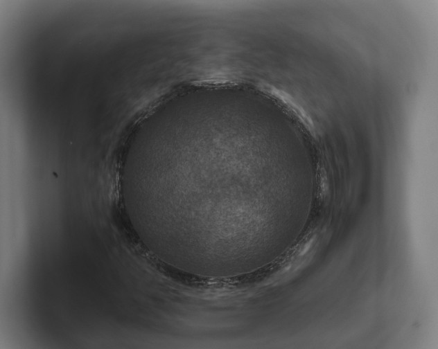 X0000102301350200808011354