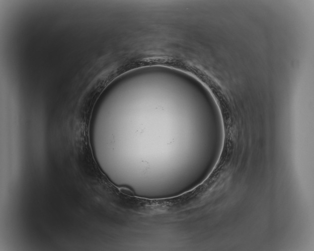 X0000102301351200808011354