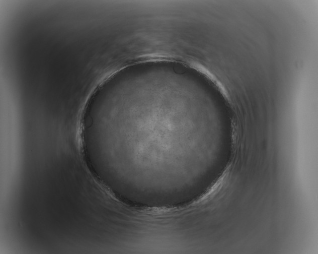 X0000102301357200808011354