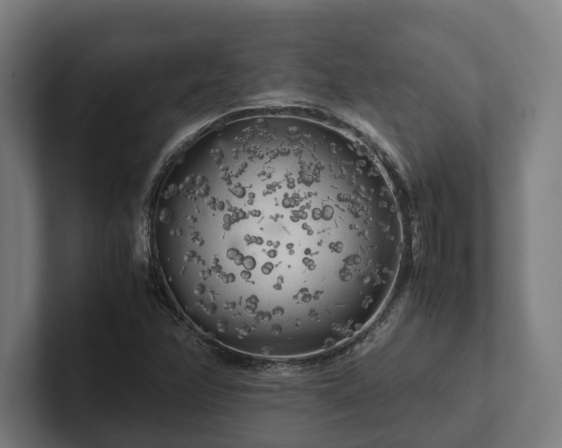 X0000102301358200808011354