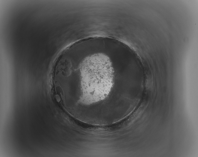 X0000102301359200808011354