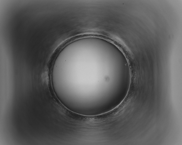 X0000102301360200808011354