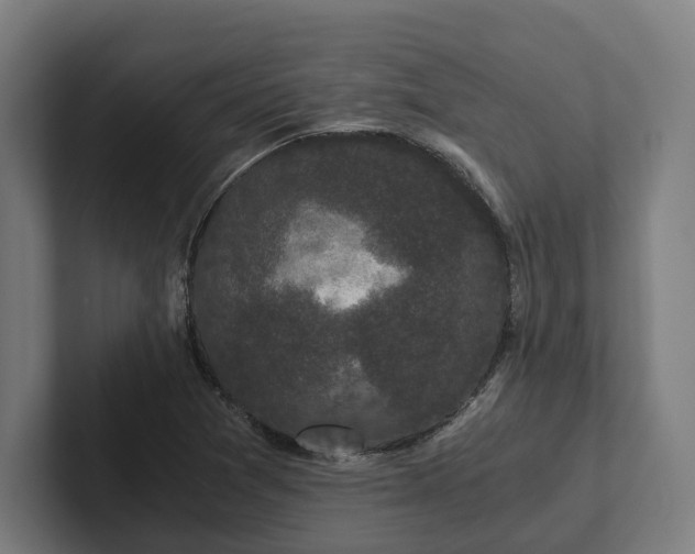 X0000102301361200808011354