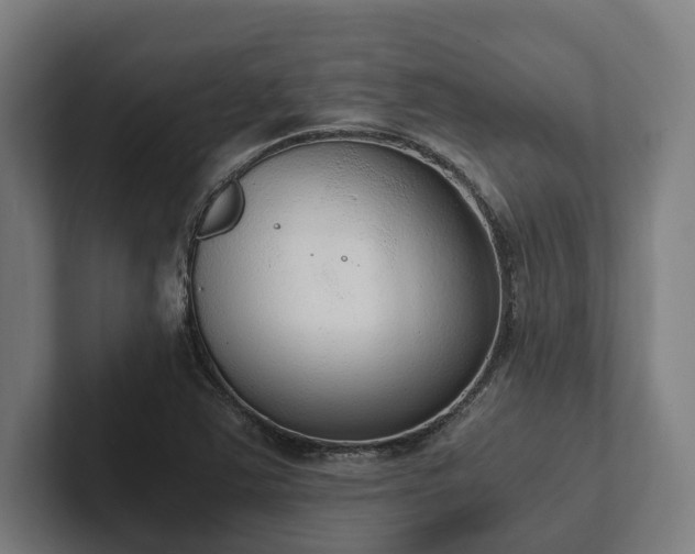 X0000102301363200808011354