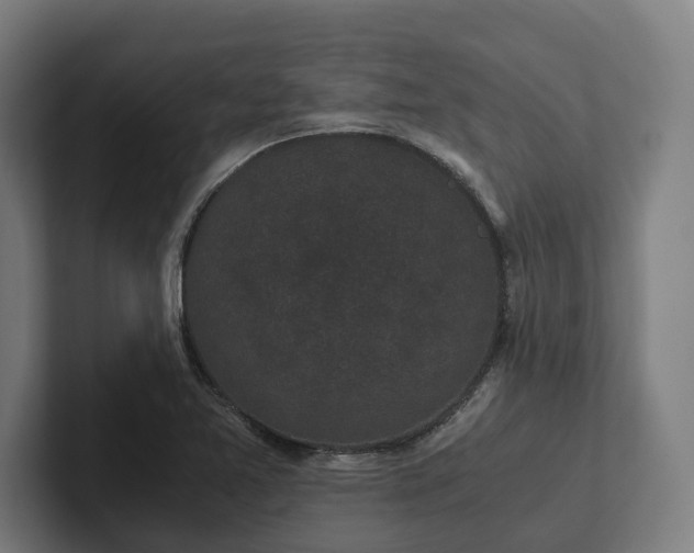 X0000102301365200808011354