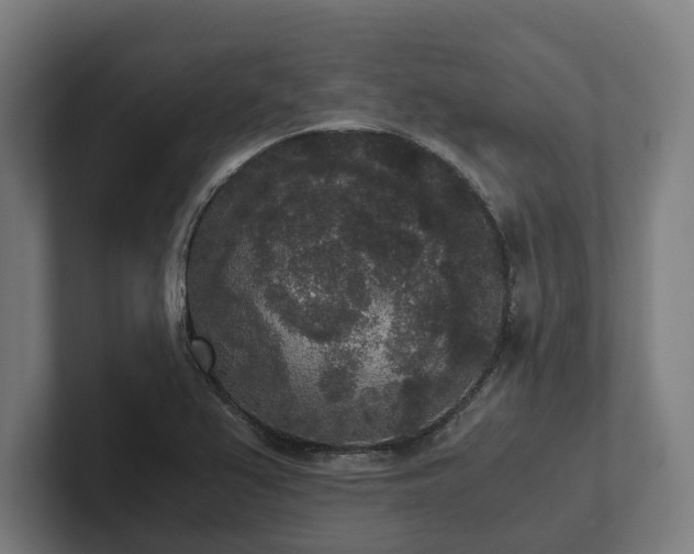 X0000102301367200808011354