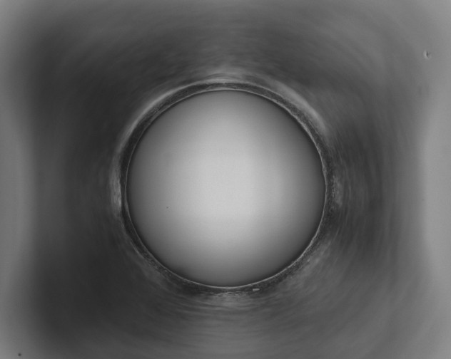 X0000102301368200808011354