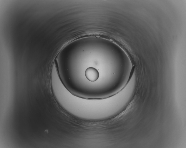 X0000102301369200808011354