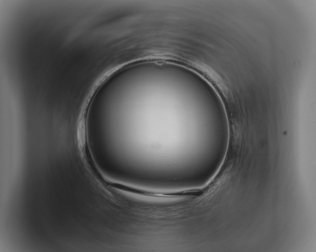 X0000102301371200808011353