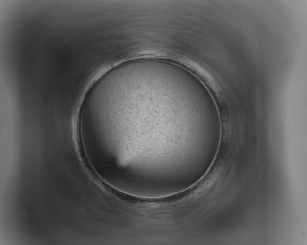 X0000102301373200808011353