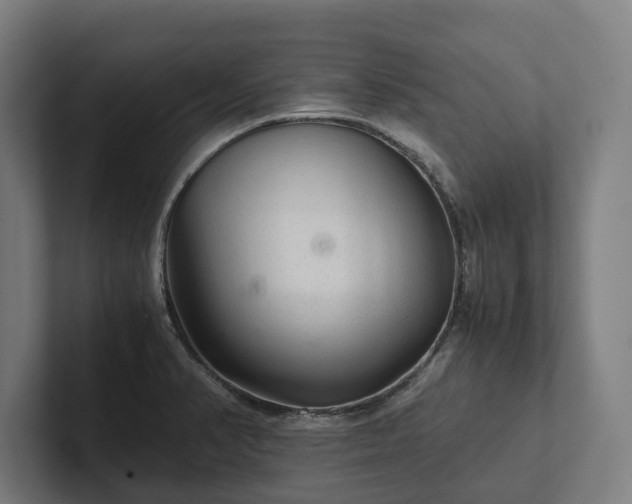 X0000102301374200808011353