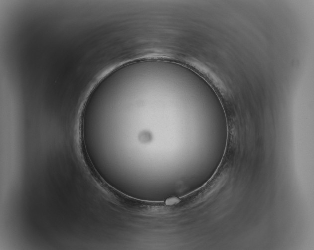 X0000102301375200808011353