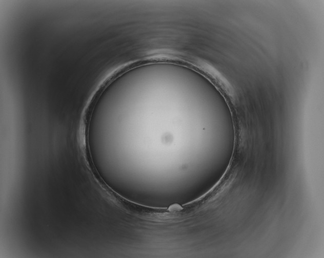 X0000102301376200808011353