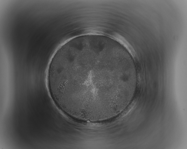 X0000102301379200808011353