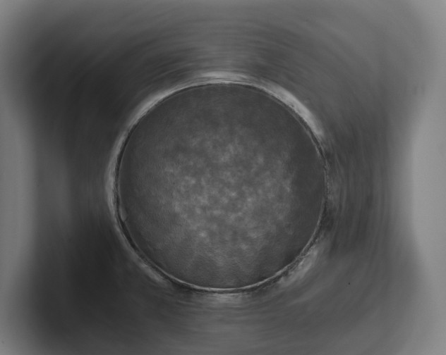 X0000102301381200808011353