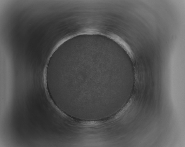 X0000102301382200808011353