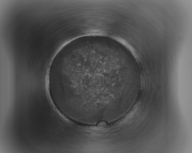 X0000102301383200808011353