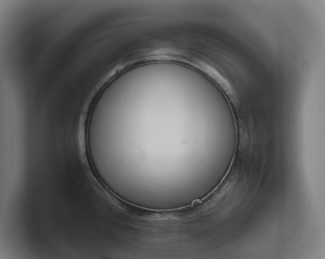 X0000102301384200808011353