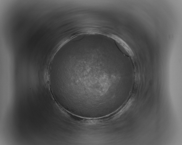 X0000102301385200808011353