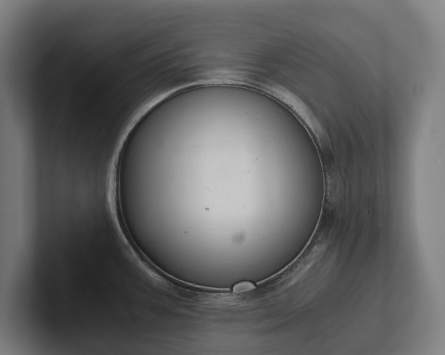 X0000102301387200808011353