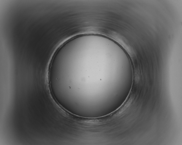 X0000102301388200808011353