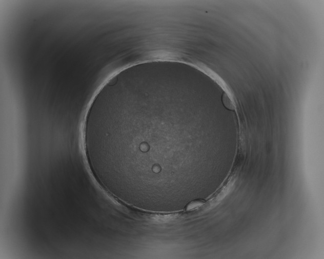 X0000102301389200808011353