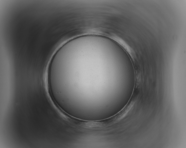 X0000102301391200808011353