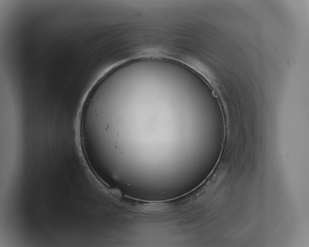 X0000102301392200808011353