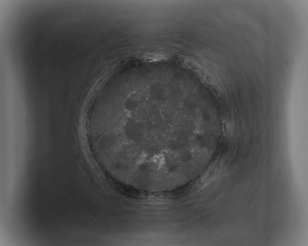 X0000102301393200808011353