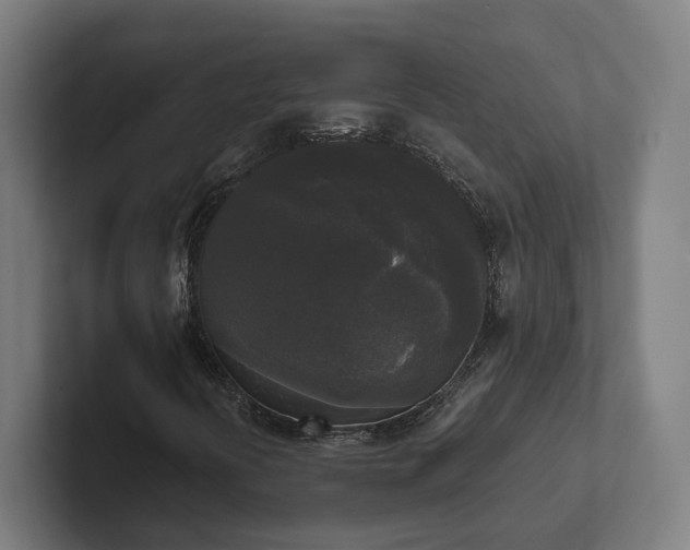 X0000102301394200808011353