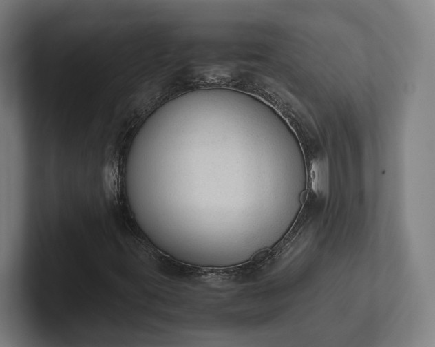 X0000102301395200808011353