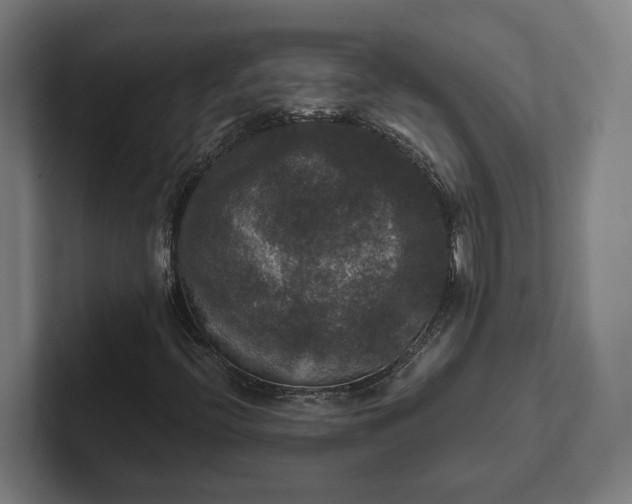 X0000102301396200808011353