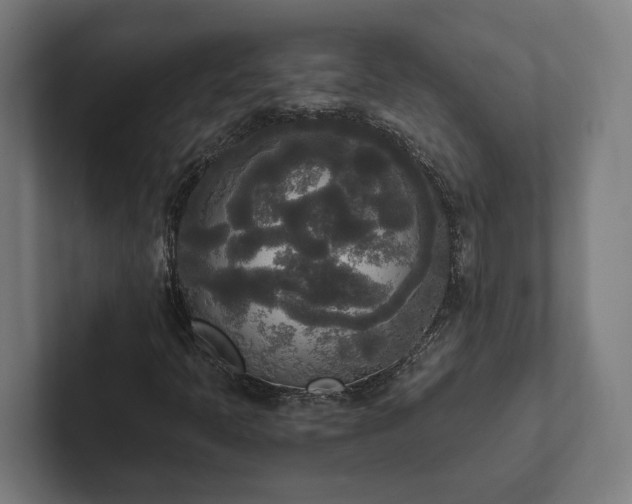 X0000102301397200808011353