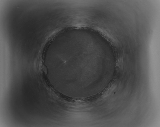 X0000102301398200808011353