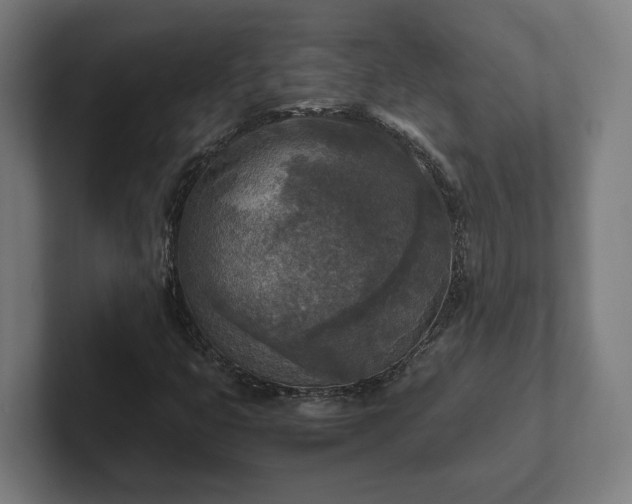 X0000102301399200808011353