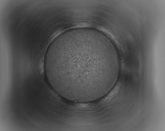 X0000102301409200808011353