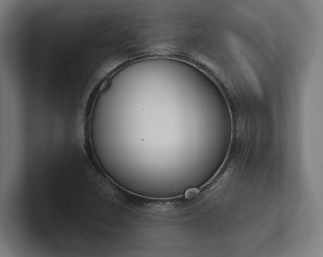 X0000102301410200808011353