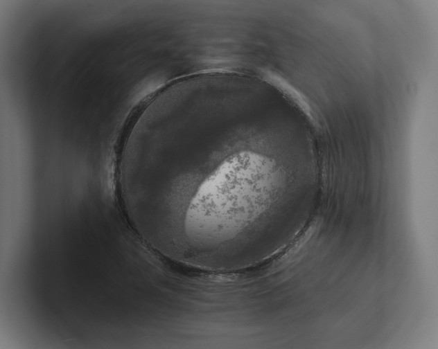 X0000102301411200808011353