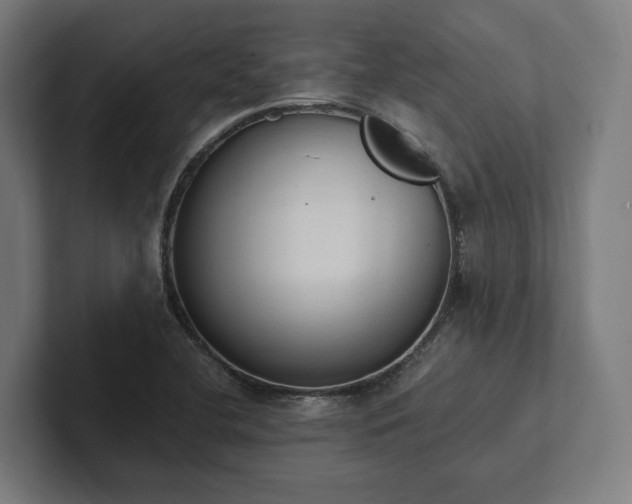 X0000102301412200808011353