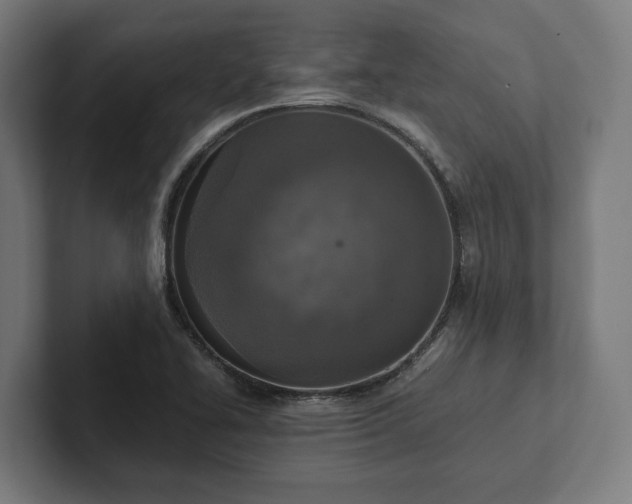 X0000102301414200808011353