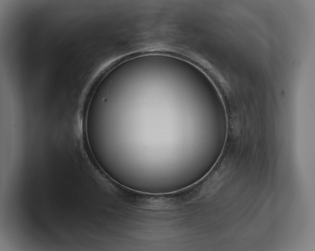 X0000102301416200808011353