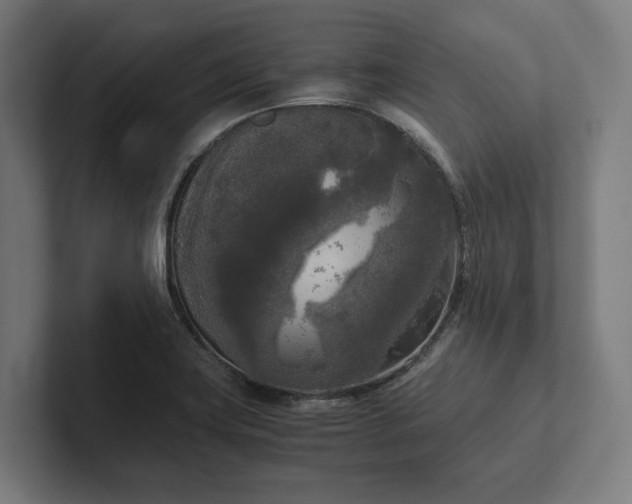 X0000102301419200808011353