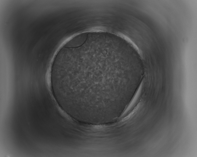 X0000102301421200808011353