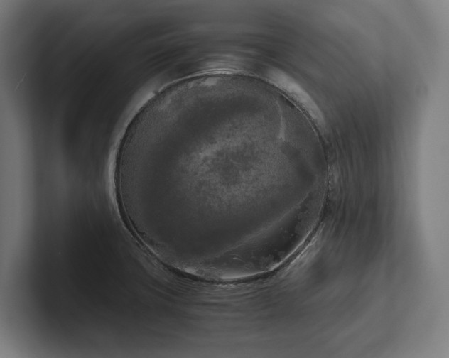 X0000102301427200808011353