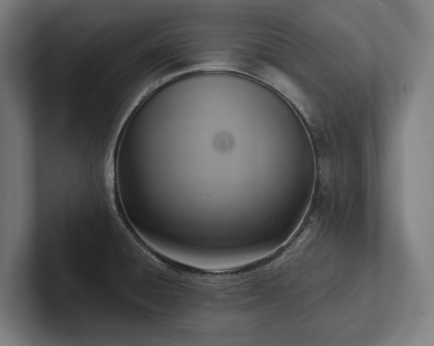 X0000102301428200808011353