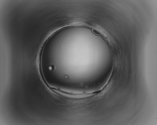 X0000102301430200808011353