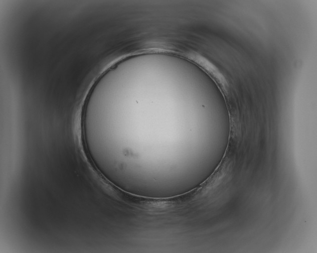 X0000102301431200808011353